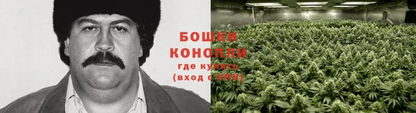 молекула духа Абинск