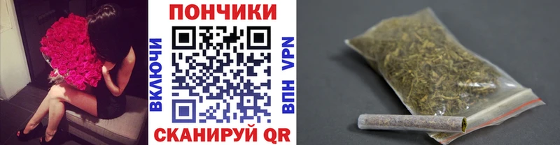 Шишки марихуана план Иноземцево